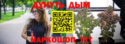 мдпв Кимры