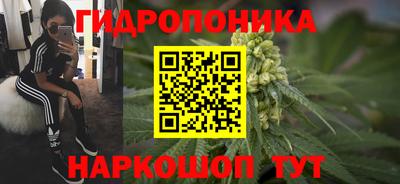 мдпв Кимры