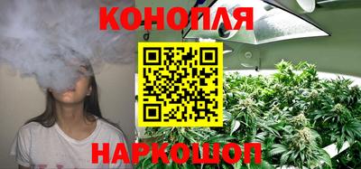 мдпв Кимры