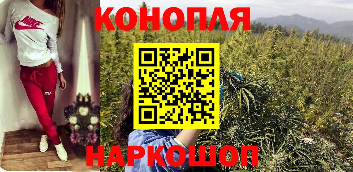 Коммунар  Бошки марихуана сатива  Марихуана ГИДРОПОН  Вход с VPN 